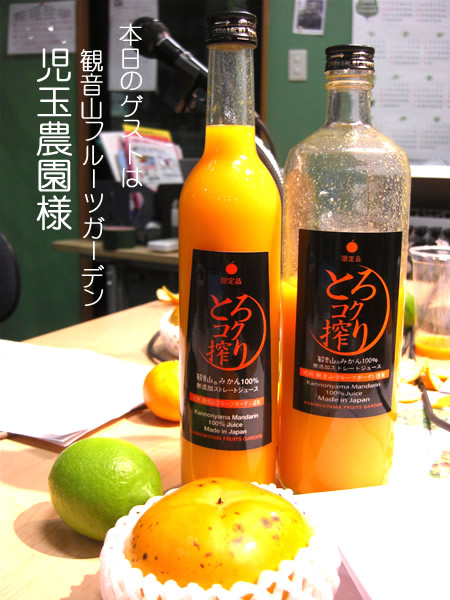 kodamasan1.jpg