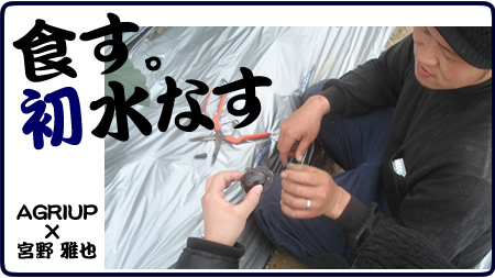 miyanokun.jpg